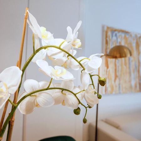Tirso Suite Madrid Exterior photo