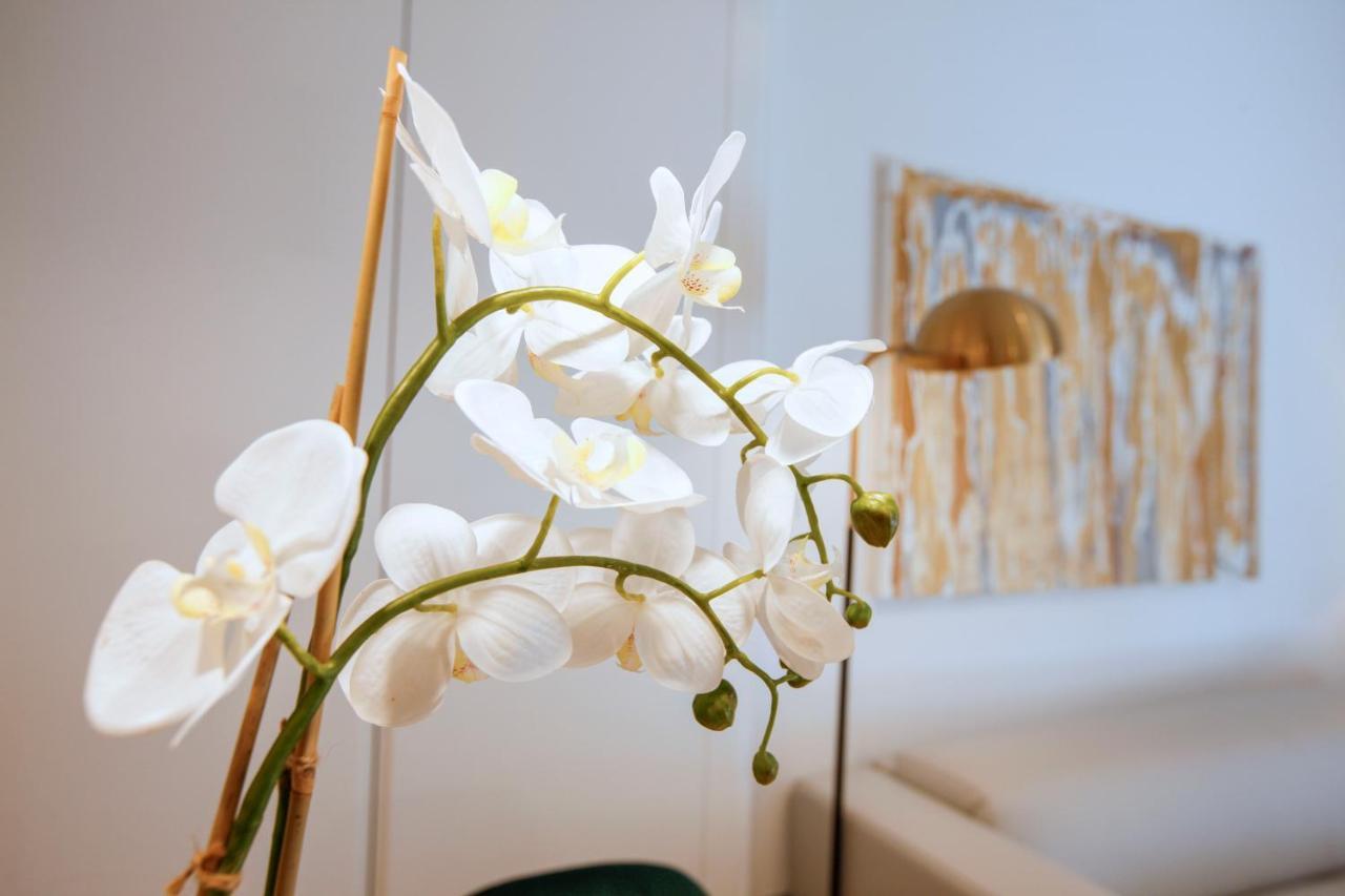 Tirso Suite Madrid Exterior photo